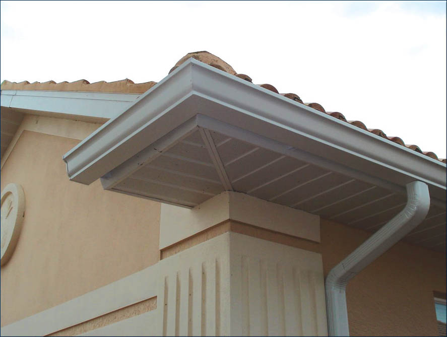 Gutter cleaning